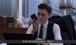 精英律师最新爆料,揭秘幕后真相，律师团再掀风云！